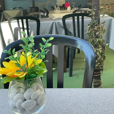 Il Cinghialetto Fonni