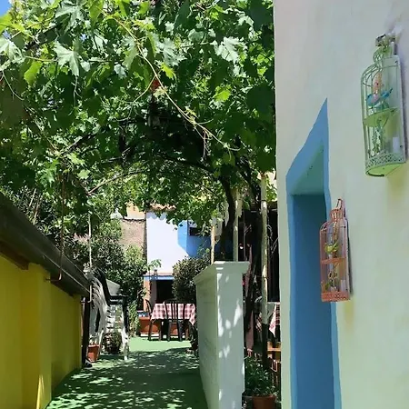 Il Cinghialetto